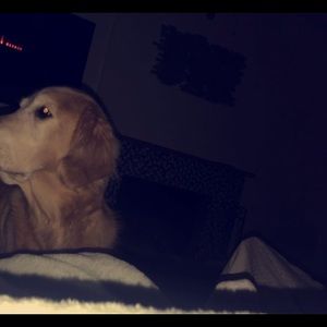 Meet your Posher, Addison